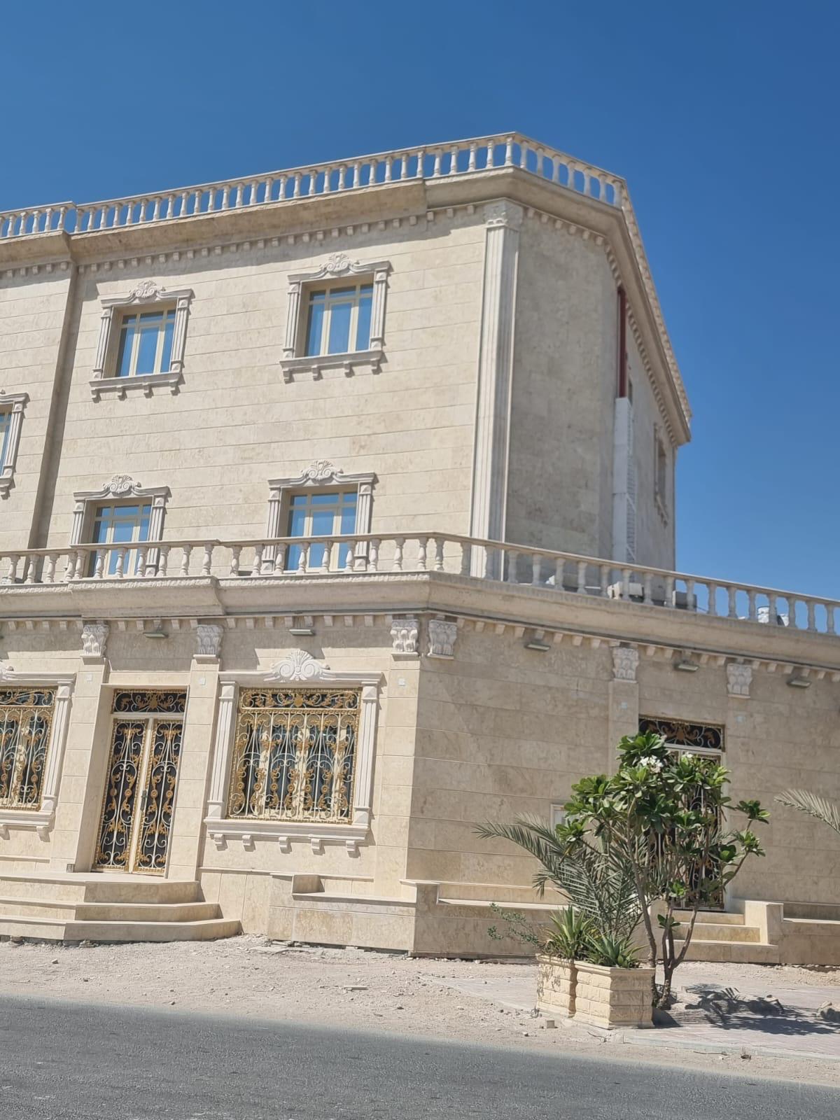 Ali Lingawi - Image 2